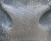 Muzzle capture frame from the demo gallery
